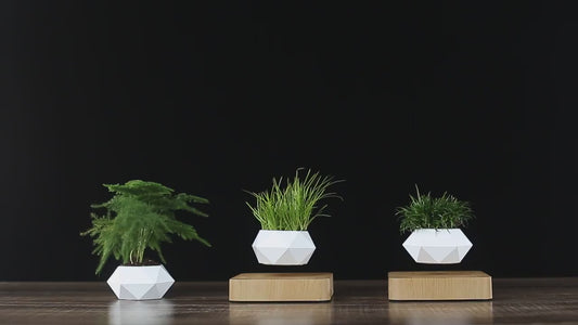LUMIXA Orbit – Magnetic Levitating Planter